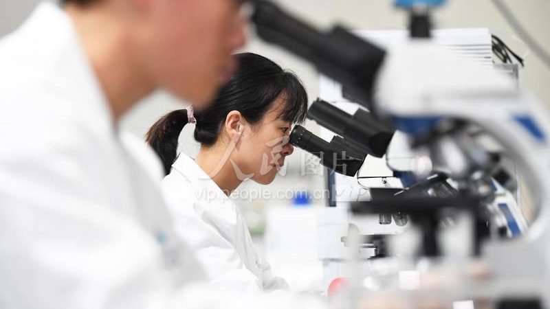 CDMO定制研发失败率：影响因素与应对策略