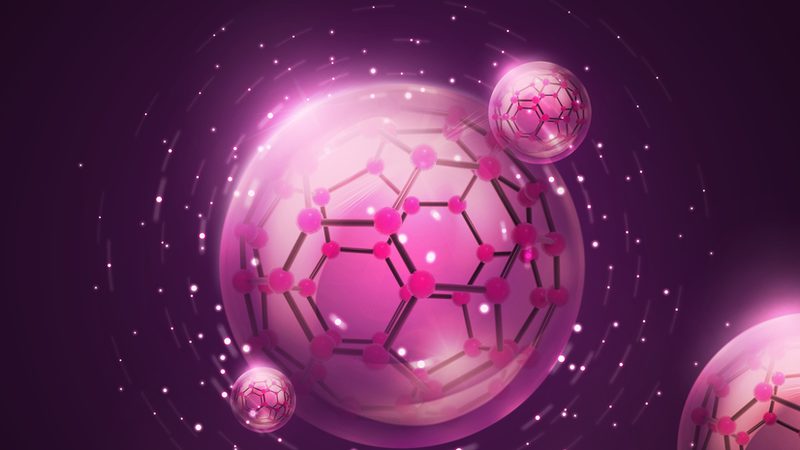 酶型号大全：解码生物催化世界的密码