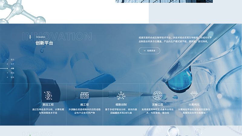 CDMO中间体定制价格对比