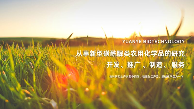 如何正确理解和使用ELISA试剂盒标准品参数