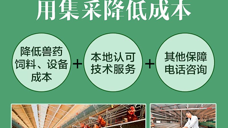 无创产前基因检测：费用构成与合理预期**