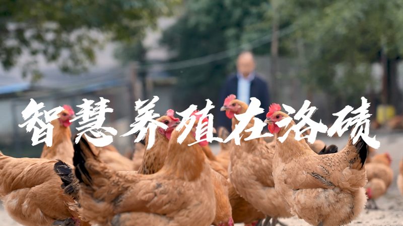 医院诊断试剂供应商怎么选