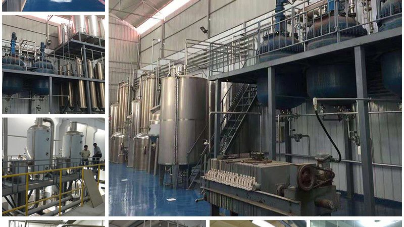 生物类似药与原研抗体药：本质差异与选择要点**