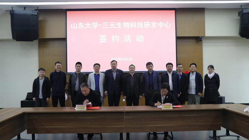 CDMO服务流程揭秘：从研发到生产的关键环节