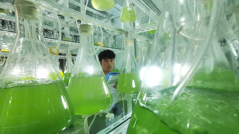 离心管：实验室中的“百变金刚”，揭秘其多样类型与用途